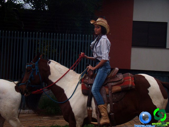 DSC07335.jpg