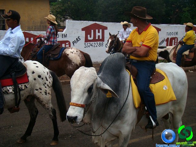 DSC07345.jpg