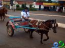 DSC07152.jpg