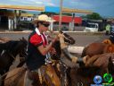DSC07169.jpg