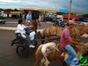 DSC07198.jpg