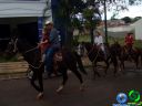 DSC07294.jpg