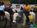 DSC07345.jpg