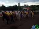 DSC07348.jpg