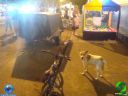 DSC04882.jpg