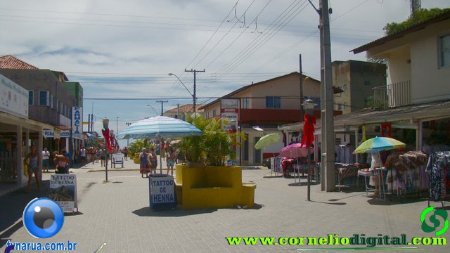 DSC03499.jpg