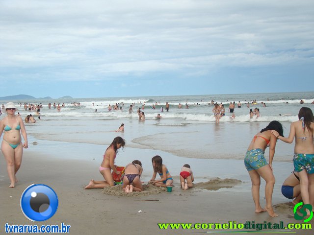 DSC03595.jpg
