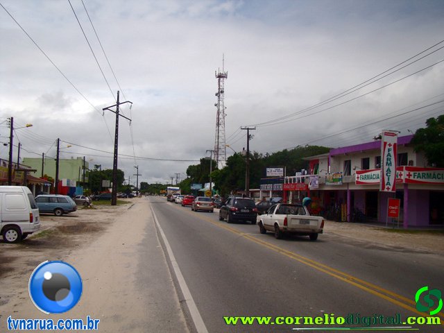 DSC03814.jpg