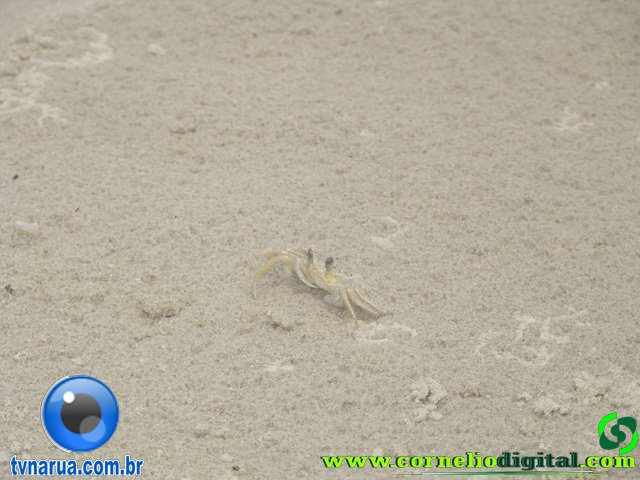 DSC03846.jpg