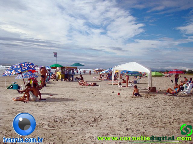 DSC03906.jpg