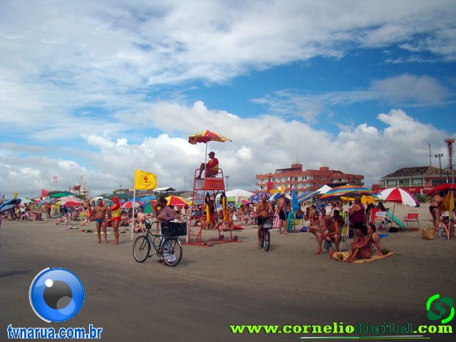 DSC03914.jpg
