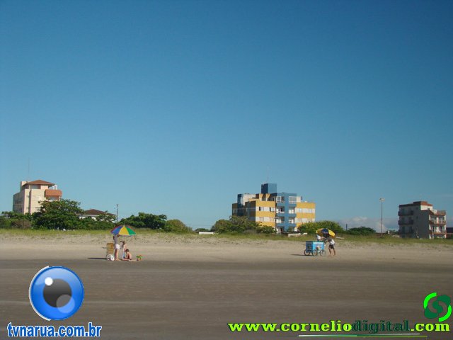 DSC04034.jpg
