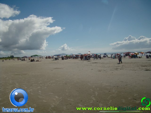 DSC04071.jpg