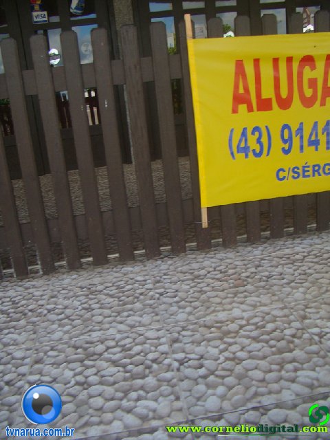 DSC04084.jpg