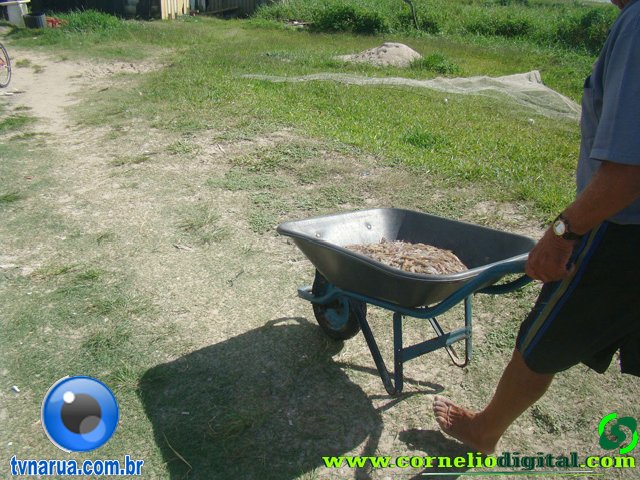 DSC04107.jpg