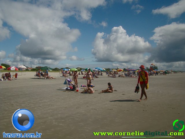 DSC04121.jpg