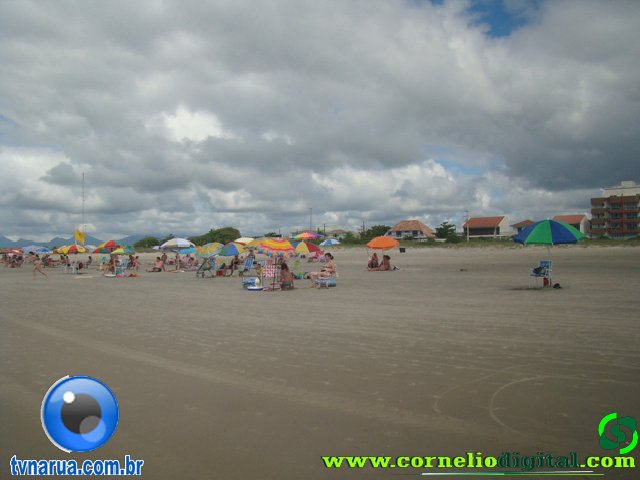 DSC04144.jpg