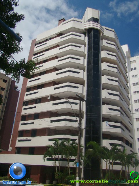 DSC04227.jpg