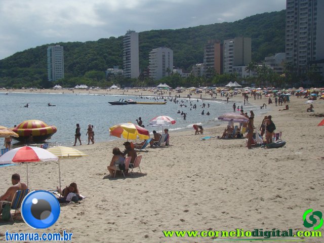 DSC04295.jpg
