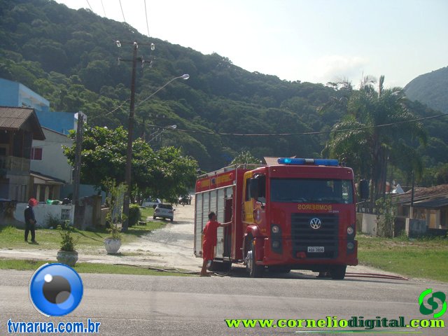 DSC04313.jpg