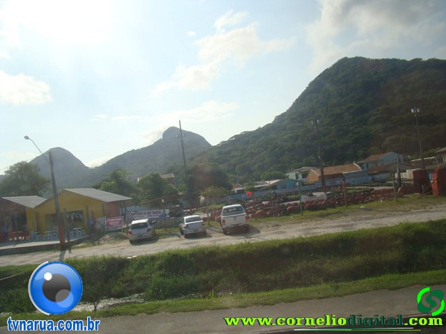 DSC04331.jpg