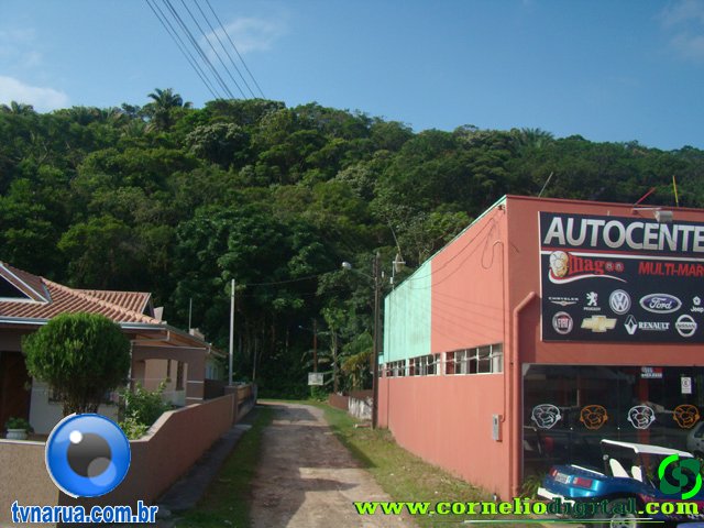 DSC04353.jpg