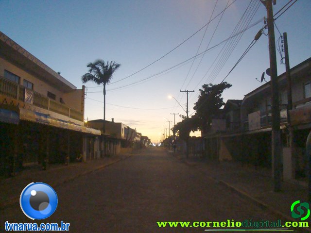 DSC04417.jpg