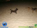 DSC03535.jpg