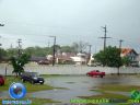 DSC03639.jpg
