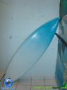 DSC03728.jpg
