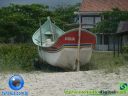 DSC03844.jpg