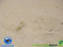 DSC03848.jpg