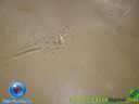 DSC04020.jpg