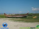 DSC04111.jpg