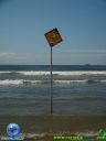 DSC04143.jpg