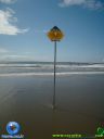 DSC04149.jpg