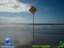 DSC04151.jpg
