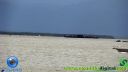 DSC04268.jpg