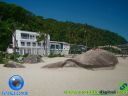 DSC04280.jpg