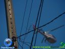 DSC04311.jpg