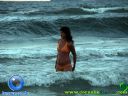 DSC04407.jpg