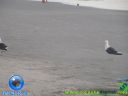 DSC04430.jpg