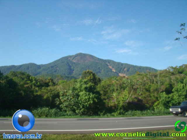 DSC04515.jpg