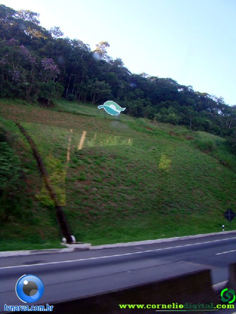DSC04543.jpg