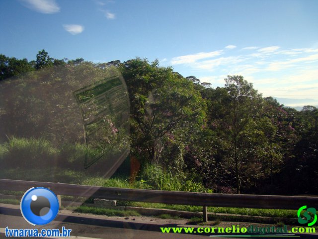 DSC04544.jpg