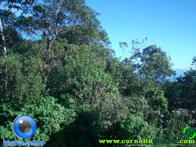 DSC04568.jpg