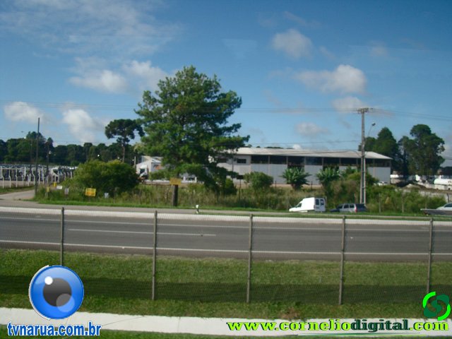 DSC04595.jpg