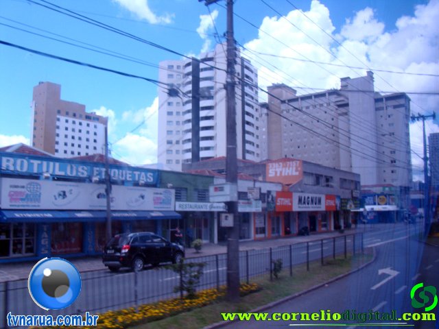 DSC04655.jpg