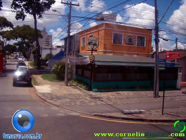 DSC04717.jpg