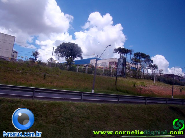 DSC04763.jpg